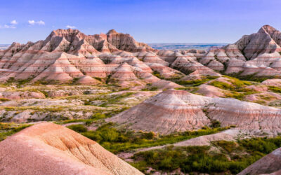 How well do you know the natural history of the Black Hills? – Fort Hays & Mount Rushmore Tours