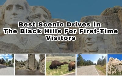 Best Scenic Drives In The Black Hills For First-Time Visitors