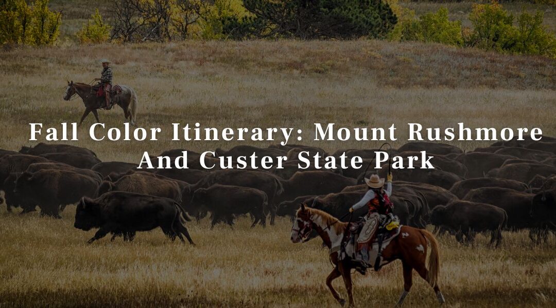Fall Color Itinerary: Mount Rushmore And Custer State Park