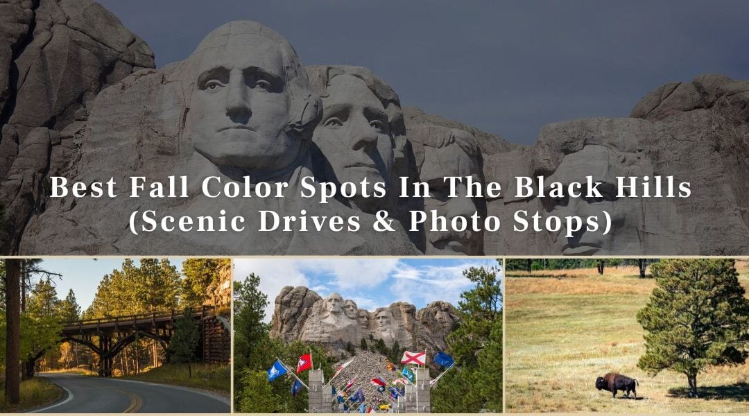 Best Fall Color Spots In The Black Hills (Scenic Drives & Photo Stops)