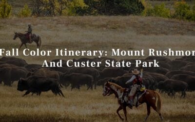 Fall Color Itinerary: Mount Rushmore And Custer State Park