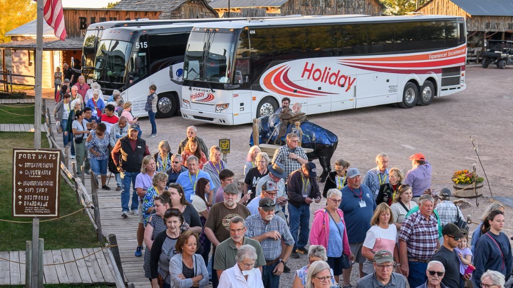 Why A Guided Tour Beats DIY