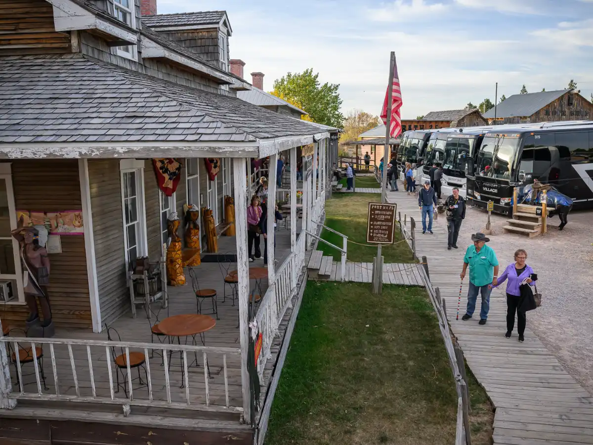 Sight Seeing Bus Tour Package With Meals